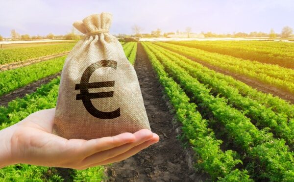 Agriculture : précisions sur les aides écorégime