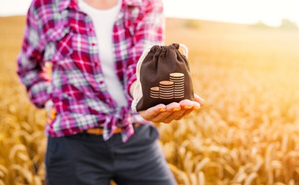 Agriculture : précisions sur de nombreuses aides