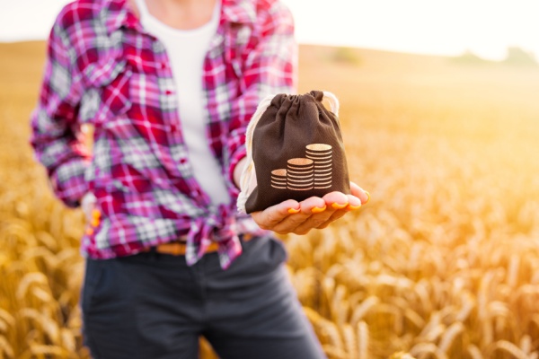 Agriculture : précisions sur de nombreuses aides