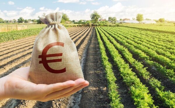 Aides à l’installation des jeunes agriculteurs : précisions sur les sanctions