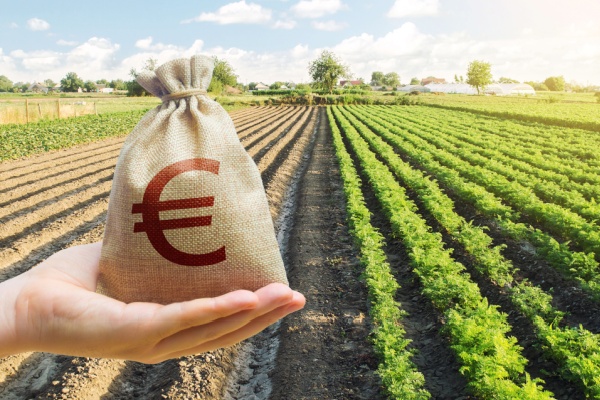 Aides à l’installation des jeunes agriculteurs : précisions sur les sanctions