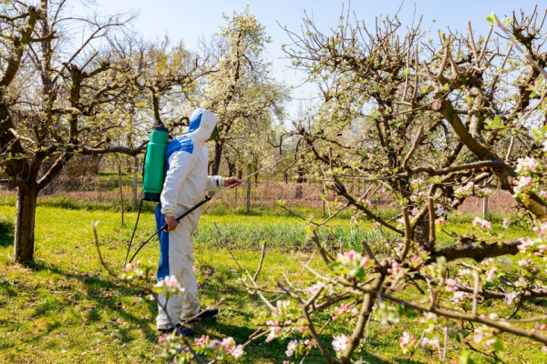 Commerce de fruits : une nouvelle limitation à connaître