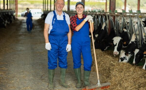 Conventions de stage en milieu agricole : les modèles sont disponibles !