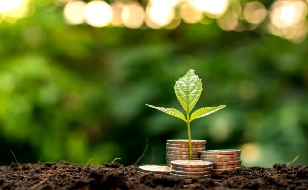 Prise en charge des cotisations sociales par la MSA : assouplissement de la procédure