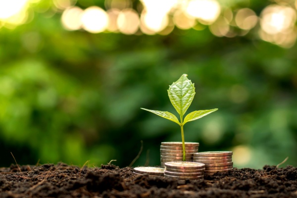 Prise en charge des cotisations sociales par la MSA : assouplissement de la procédure