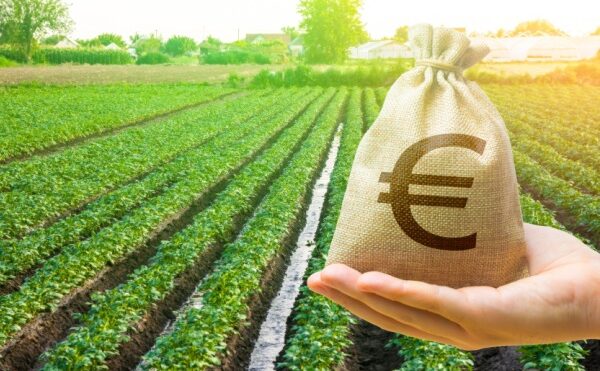 Taxe foncière sur les terres agricoles : une exonération déjà en hausse ?