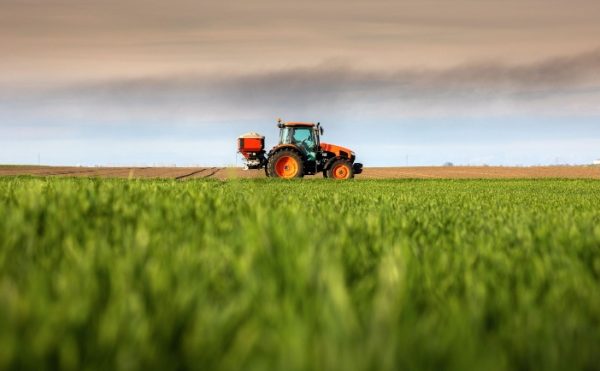 FranceAgriMer et organisations de producteurs : des sanctions possibles ?