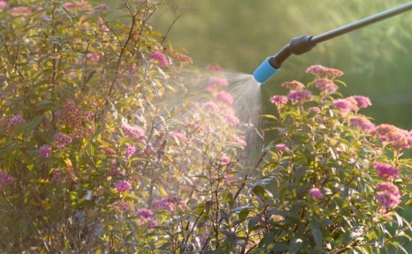 Produits phytosanitaires : réduction et contrôle de leur utilisation