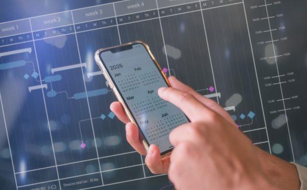 DSN de substitution : des précisions