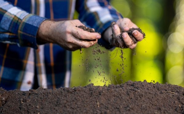 Produits fertilisants : une définition commune des usages