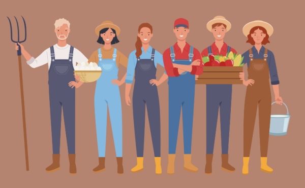 Retraite des non-salariés agricoles : nouvelles précisions