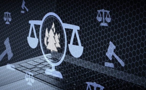 Contentieux environnemental : une procédure simplifiée et accélérée