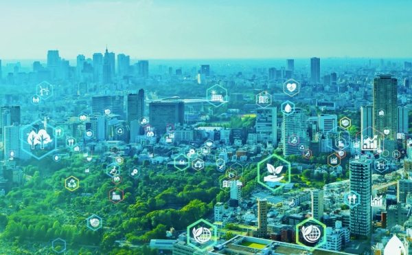 Décarbonation et électrification : un guide pour les entreprises