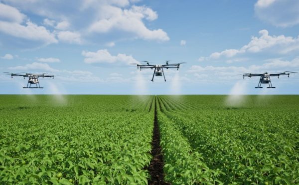 Produits phytosanitaires : détails sur la pulvérisation par drone