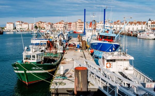 Retour de pêche : des obligations déclaratives à respecter