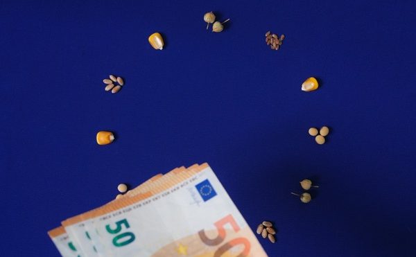PAC : mise à jour des règles de conditionnalité pour 2026