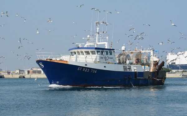 Entreprises de pêche : nouvelle période d’aide