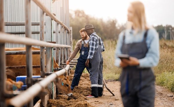 Maladies professionnelles agricoles : les conditions de diagnostic sont simplifiées